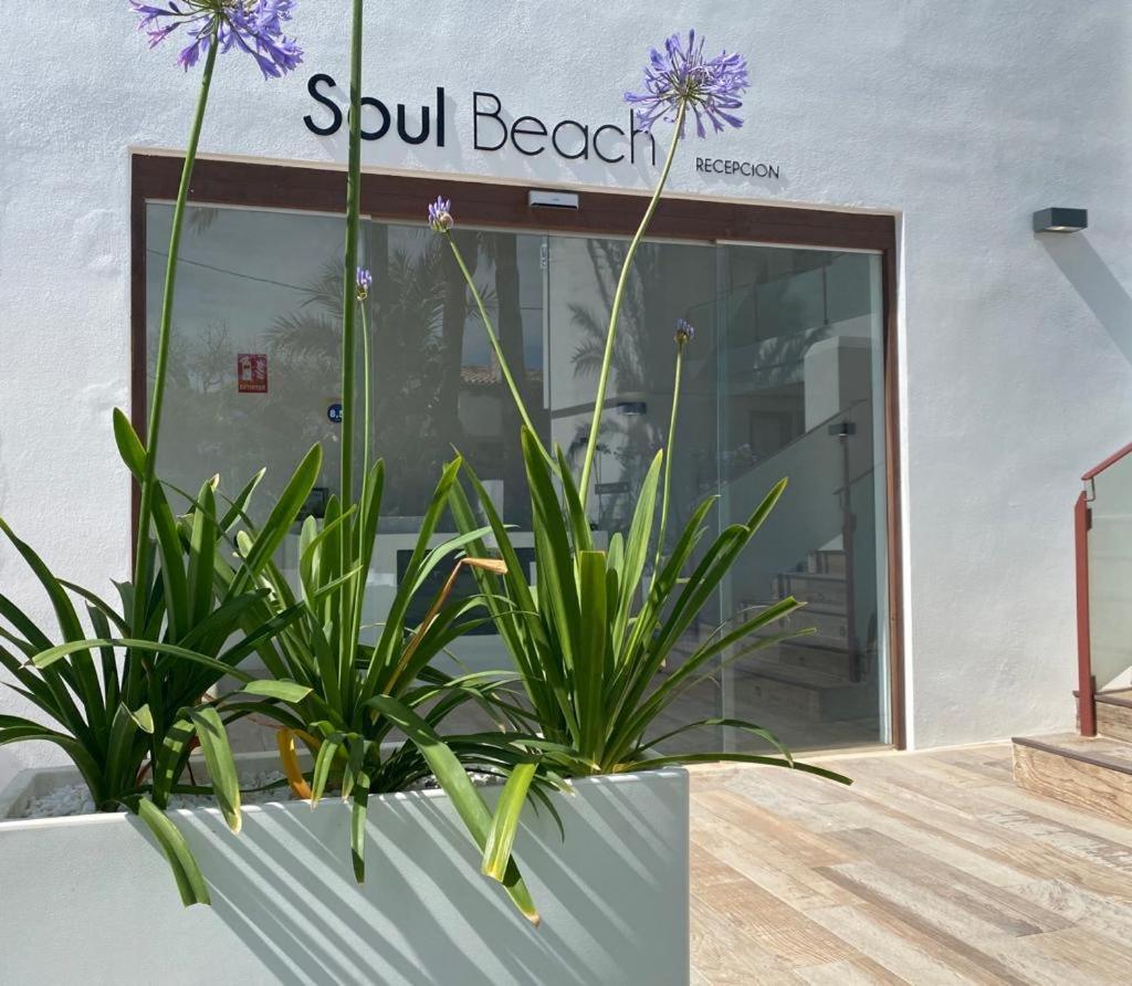 Soul Beach Hotel By Mc - Adults Recommended Dénia Exterior foto